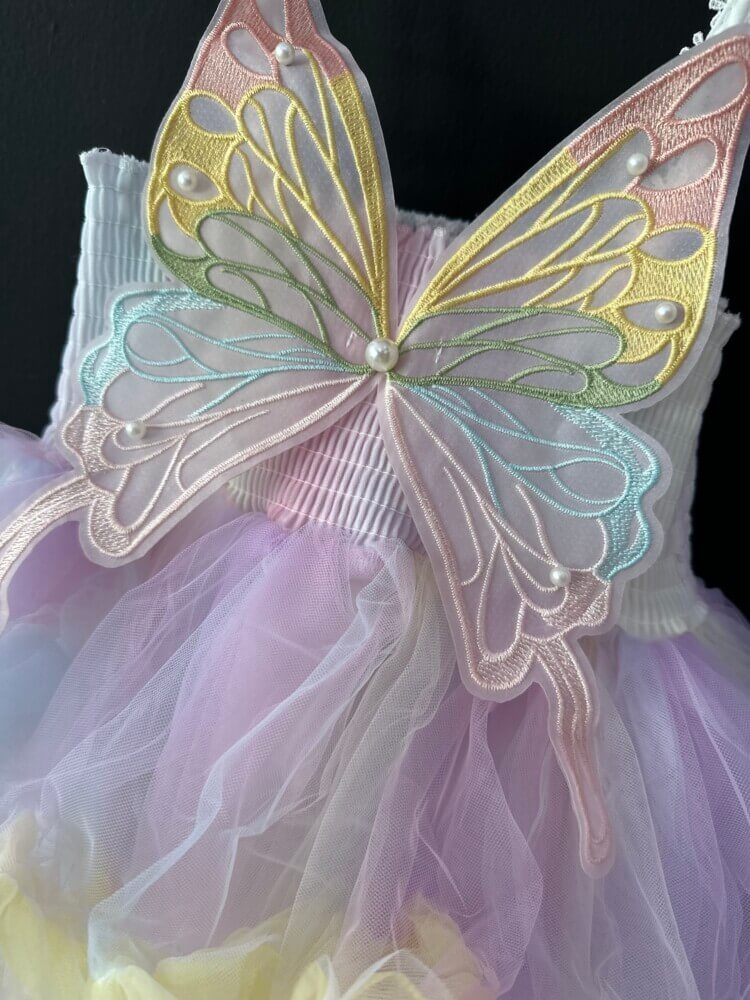 Rainbow butterfly dress
